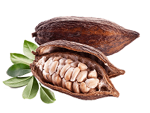 CACAO