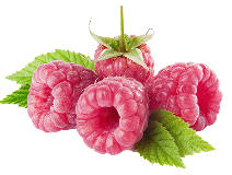 RASPBERRY